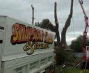 Simpson Trees and Stumps logo
